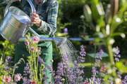 Maandelijkse tuintips