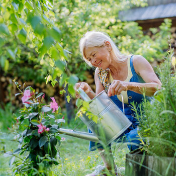 Tuintip afbeelding