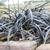 Ophiopogon planiscapus 'Niger