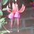 Fuchsia 'Wilma Versloot'