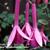 Fuchsia 'Remembering Claire'