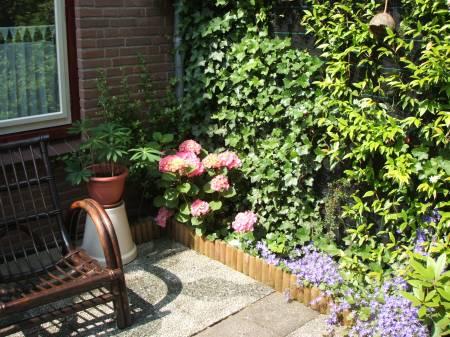 Bloemen & Planten