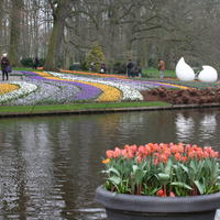 Keukenhof