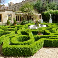 Bloemen in de cotswolds