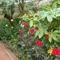 Secret Gardens in Sandwich Engeland