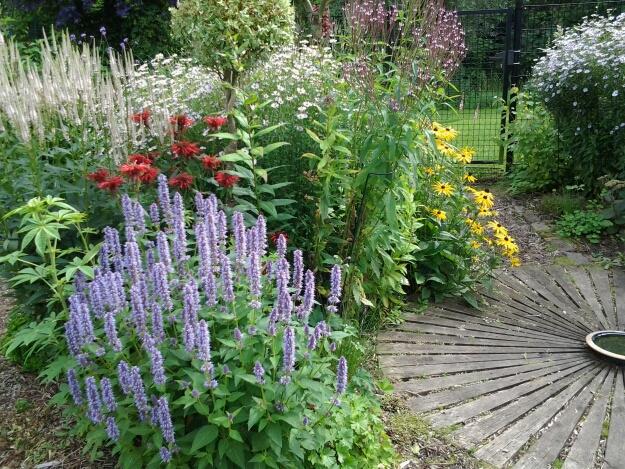 Planten & Tuinbenodigdheden