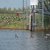 Rondje Breda langs de singels.