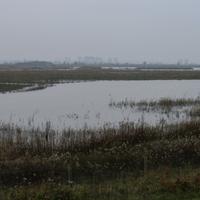 Eiland Tiengemeten