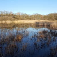 Wandeling Beringe