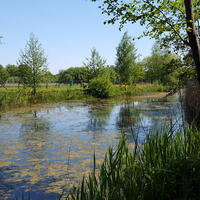 Natuurgebied Vlakbroek