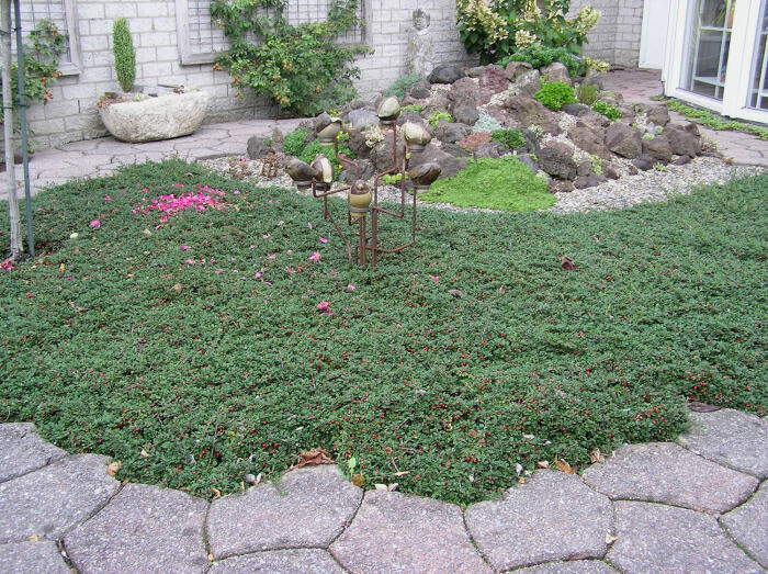 Allerlei Vragen ivm de Tuin