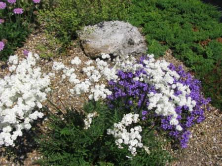 Foto's van uw Tuin