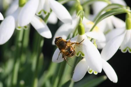 Foto's van uw Tuin