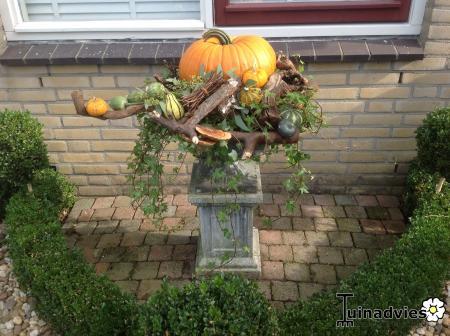 Bloemschikken, Creatief in de Tuin