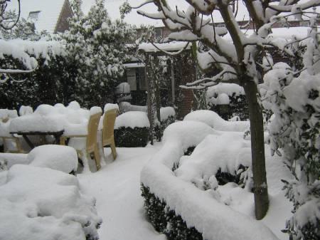 Foto's van uw Tuin