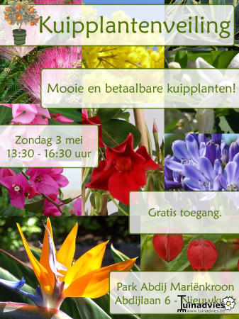 Tropische Planten & Kamerplanten