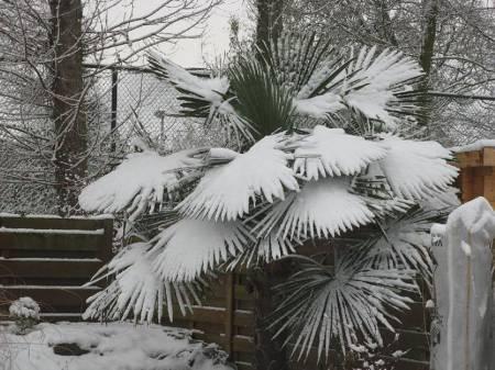 Foto's van uw Tuin