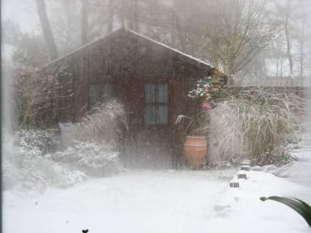 Foto's van uw Tuin