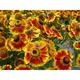 Helenium 