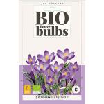 Crocus 'Tommasinianus Ruby' - bio flowerbulbs (15 stuks)