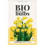 Narcis Tête-à-tête - bio flowerbulbs (5 stuks)