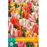 Tulpenmix Fun Colours (7 stuks)