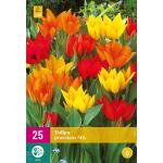 Tulpenmix Praestans (25 stuks)