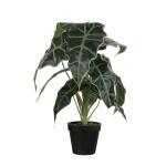 Kunstplant Alocasia in pot - 30 x 50 cm