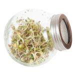 Organic sprouting pot - salade mix BIO