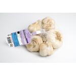 Pootgoed knoflook Messidrome - 250 gram