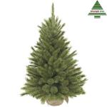 Triumph Tree kerstboom Forest frosted W-burlap - 90 cm