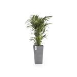 Ecopots Rotterdam Mid High 56 cm - grijs