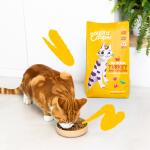 Edgard & Cooper kattenvoer Adult met verse scharrelkalkoen en kip - 2 kg