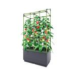 Kweekbak City Jungle Basic met klimframe