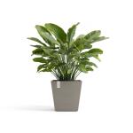 ECOPOTS Rotterdam met waterreservoir taupe - 45 cm