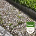 Pokon Tegen Onkruid Concentraat - 450 ml