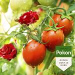 Pokon Tegen insecten Polysect GYO spray Bio - 800 ml