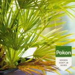 Pokon Tegen hardnekkige insecten Polysect spray Bio - 800 ml