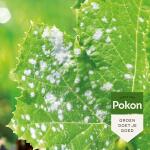 Pokon Tegen schimmels spray Bio - 800 ml