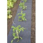 Gronddoek vilt met openingen voor tomaten en aardbeien - 60 cm x 5 m