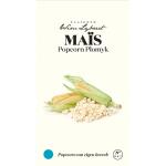 Maïs popcorn Plomyk - zaaigoed Wim Lybaert