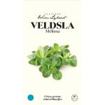 Veldsla Melissa - zaaigoed Wim Lybaert