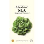 Sla Kagraner Summer - zaaigoed Wim Lybaert