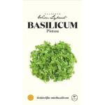 Basilicum Pistou - zaaigoed Wim Lybaert