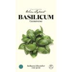 Basilicum Genovese - zaaigoed Wim Lybaert