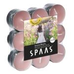 Spaas theelichten citronella 4,5 u - Summer Blossom