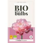 Tulipa Dreamer - Bio flowerbulbs (5 stuks)