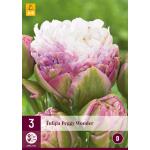 Tulipa Peggy Wonder (3 stuks)