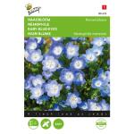 Haagbloem hemelblauw - Nemophila insignis