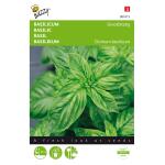 Basilicum grove - Ocimum basilicum